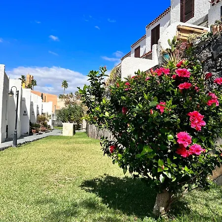 Troya 펜션 아데제